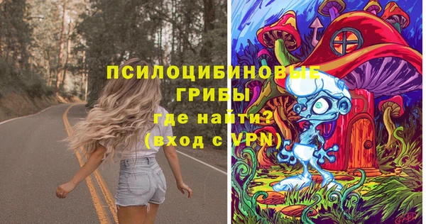 крисы Алексин