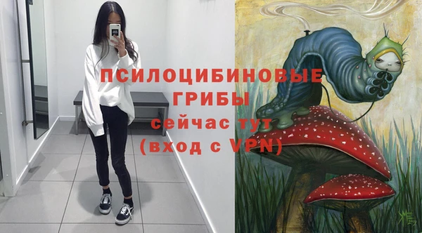 дурь Алзамай