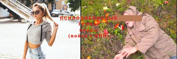 дурь Алзамай