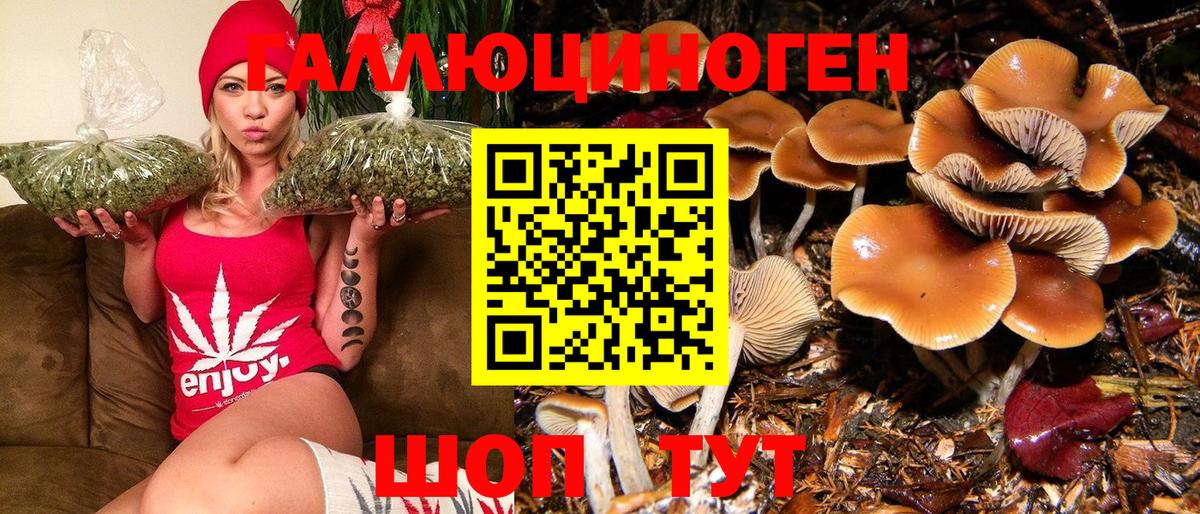 Галлюциногенные грибы MAGIC MUSHROOMS  Вход с VPN  Североуральск 